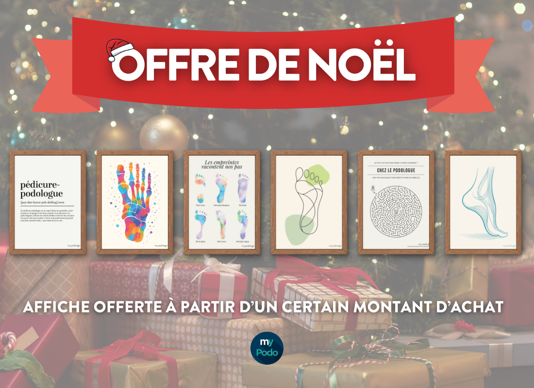 🎄 Une affiche offerte pour Noël, ça vous tente ?