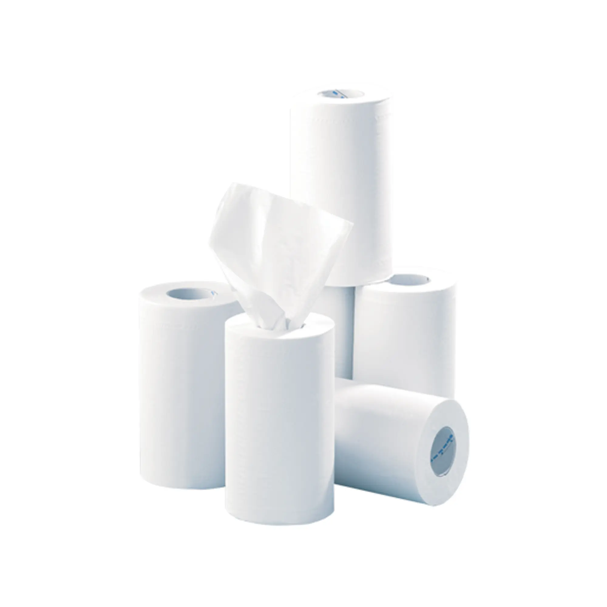 12 reels of smooth paper with central unwinding - 200 formats - 21 x 35 cm - Euromédis Euromédis 