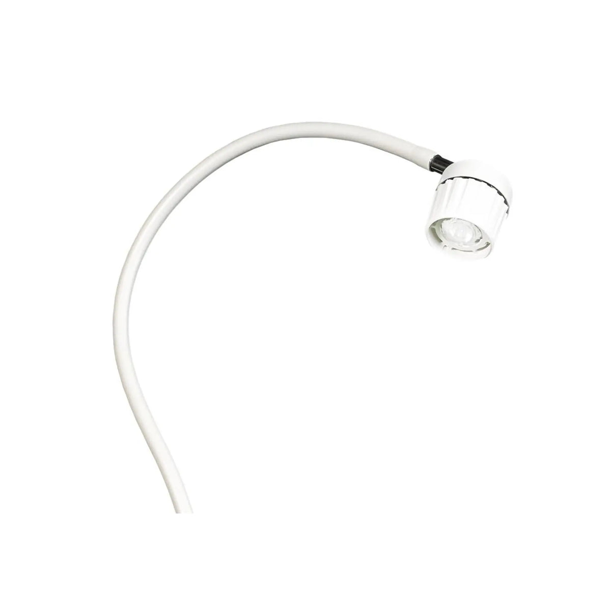 Tina 20W Halogen Lamp Replacement Bulb - LID