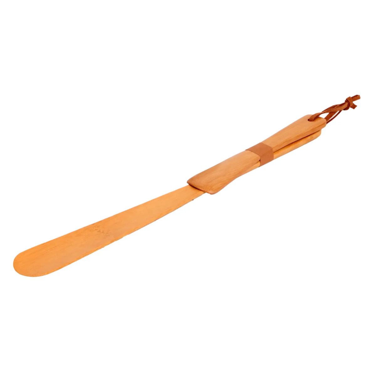 My Podiatry Shoehorn 