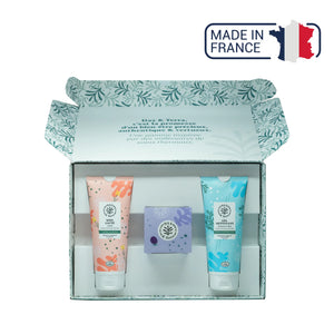 Revelation Box - Routine Special - Dax & Terra Dax & Terra 