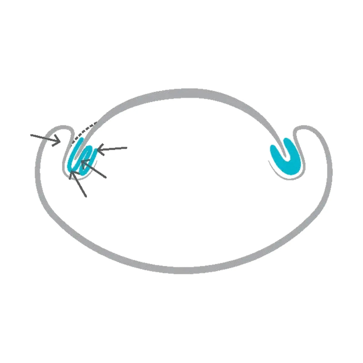 Copolilina fina - 1,4 cm x 10 m - Ruck - My Podologie