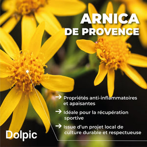 Massage oil - 100 ml - Dolpic Dolpic 