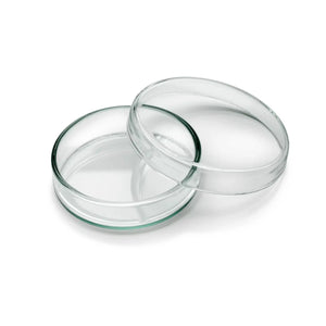 Glass insert - Ruck Ruck 