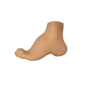 Hollow foot model - Herbitas Herbitas 