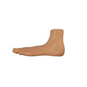 Flat foot model - Herbitas - My Podiatry