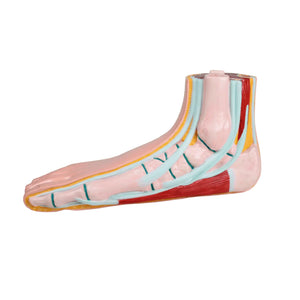 Flat Foot Model - Ruck Ruck 