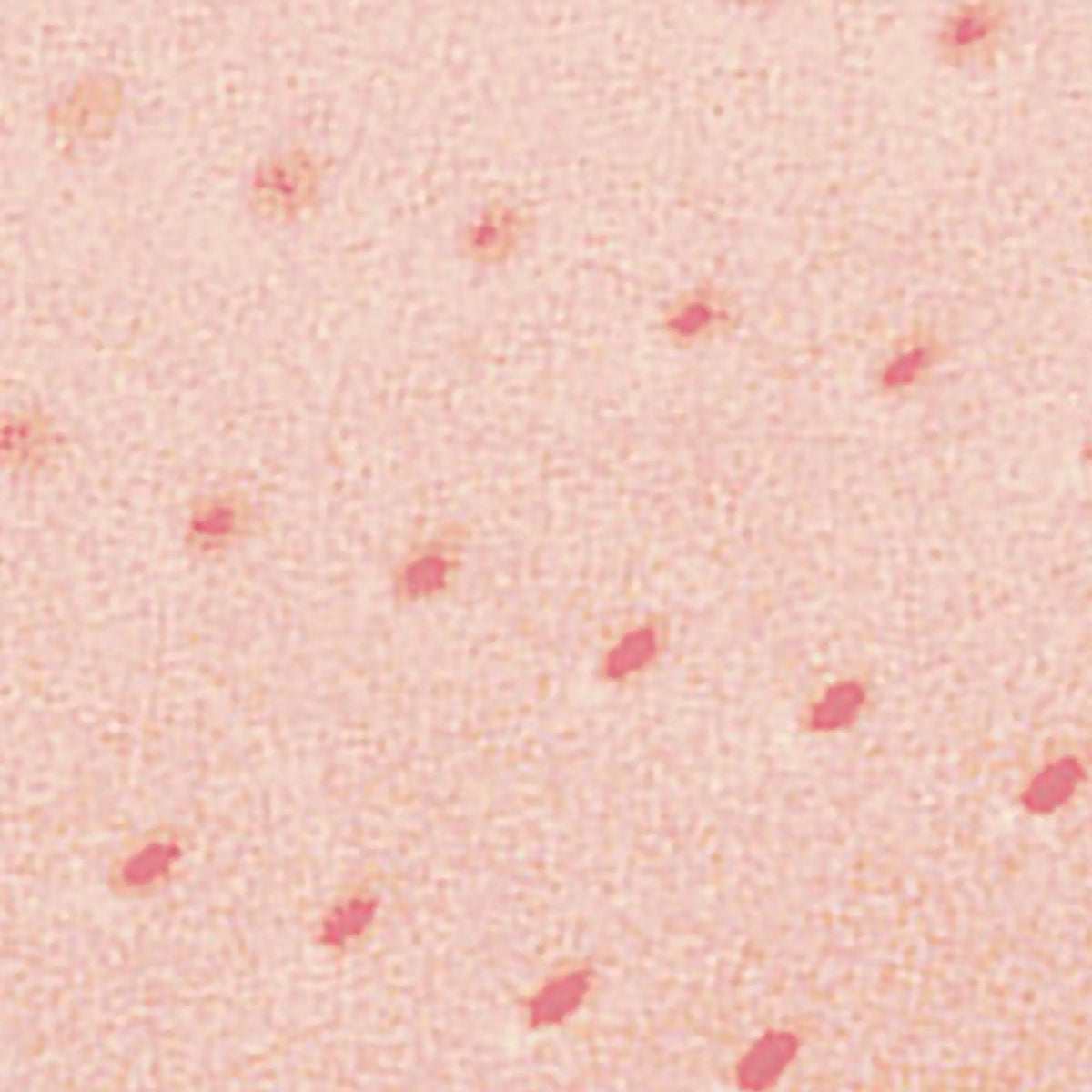 My Plastazine perforated - Plastazine foam - Shore 14 - 3 mm - My Podologie