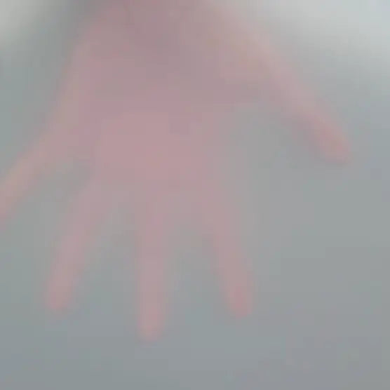 My Polyethylene - Transparent - 1 mm My Podiatry 