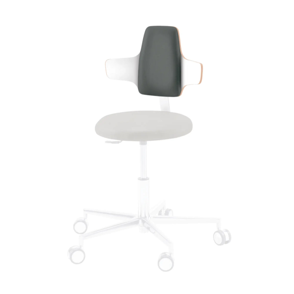 Option - NAPOLEON backrest - Round, Triangle, Comfort and Dynamic practitioner seat - Ruck