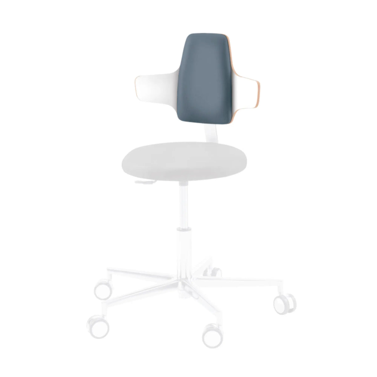 Option - NAPOLEON backrest - Round, Triangle, Comfort and Dynamic practitioner seat - Ruck - My Podologie