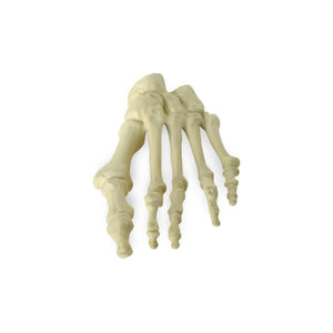 Herbitas physiological plastic foot 