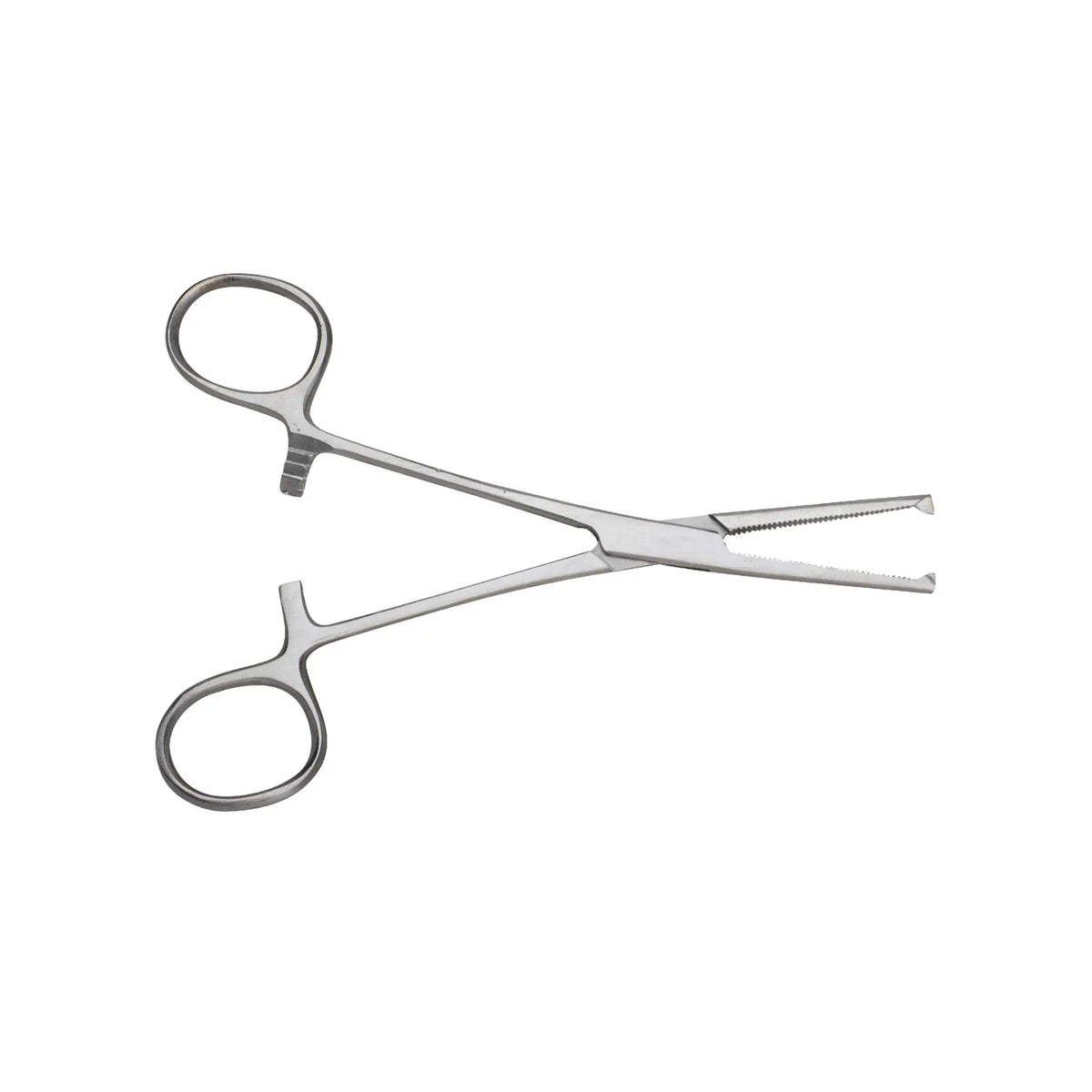 KOCHER Straight forceps with claws 14cm - My Podologie