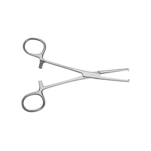 KOCHER Straight forceps with claws 14cm - My Podologie