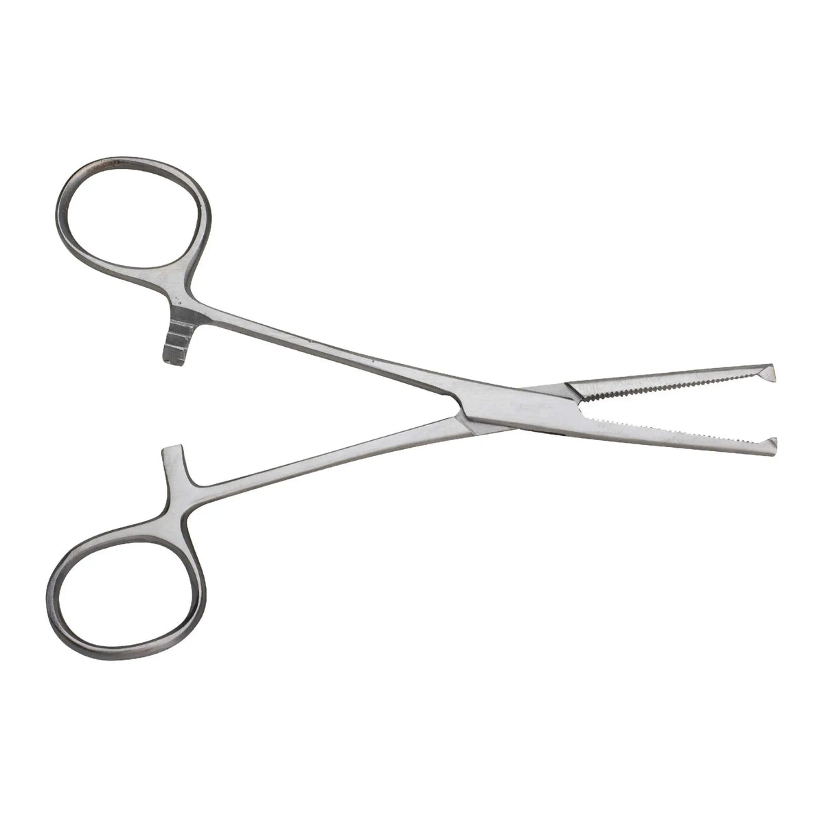 Kocher forceps - Straight - With claws - 16cm - My Podologie