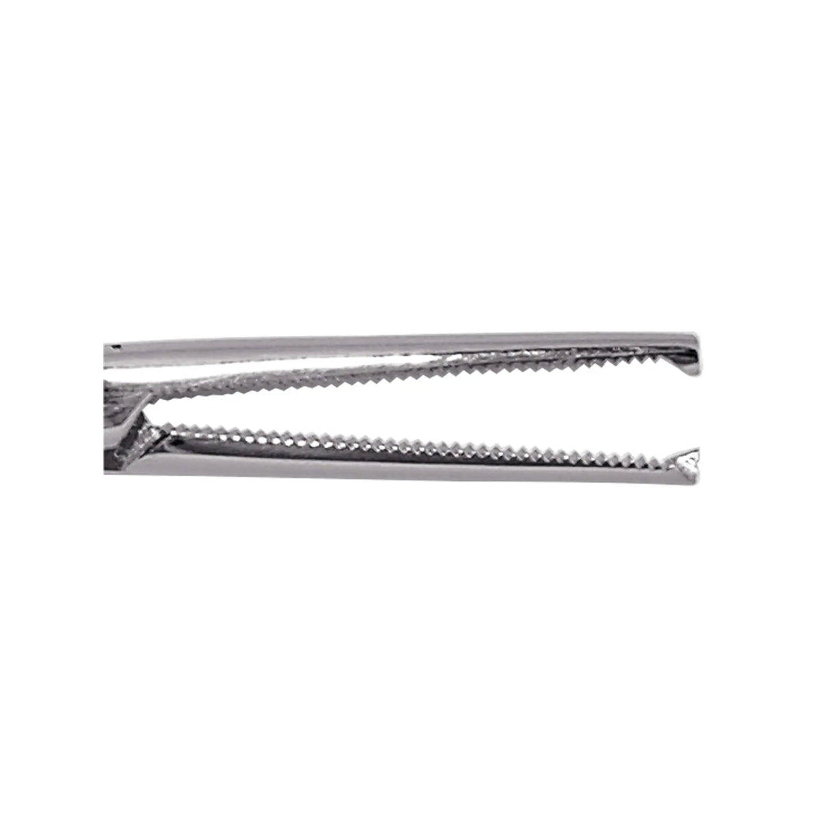 Kocher forceps - Straight - With claws - 16cm - My Podologie
