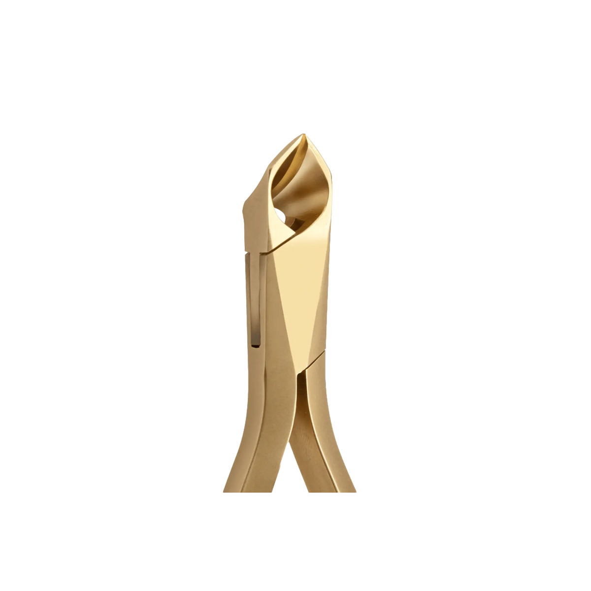 Nail pliers - Concave cut 20 mm - 14 cm - Ruck Gold-Edition - Ruck - My Podologie