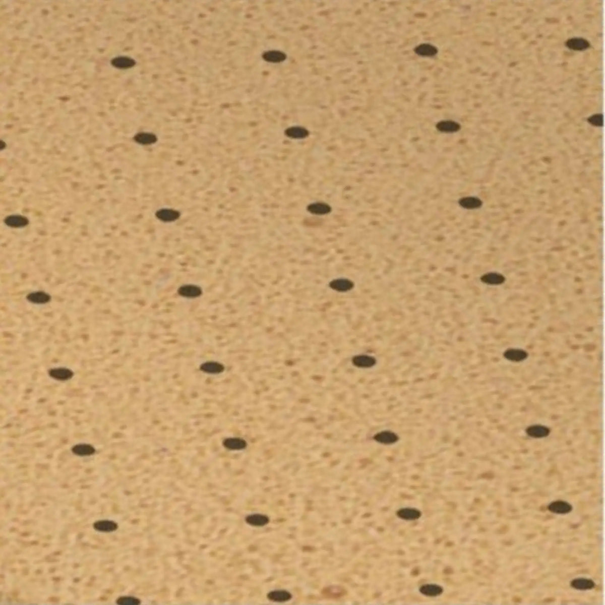 Recouvrement My Evastar Premium Soft - EVA - Shore 30 - Perforé - 2 mm / 3 mm My Podologie 