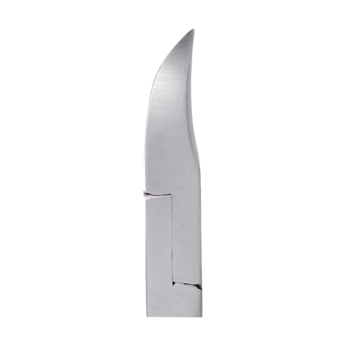 Cortauñas - Corte cóncavo - Mordazas cónicas - 14 cm - Acero inoxidable satinado - Elibasic - My Podologie