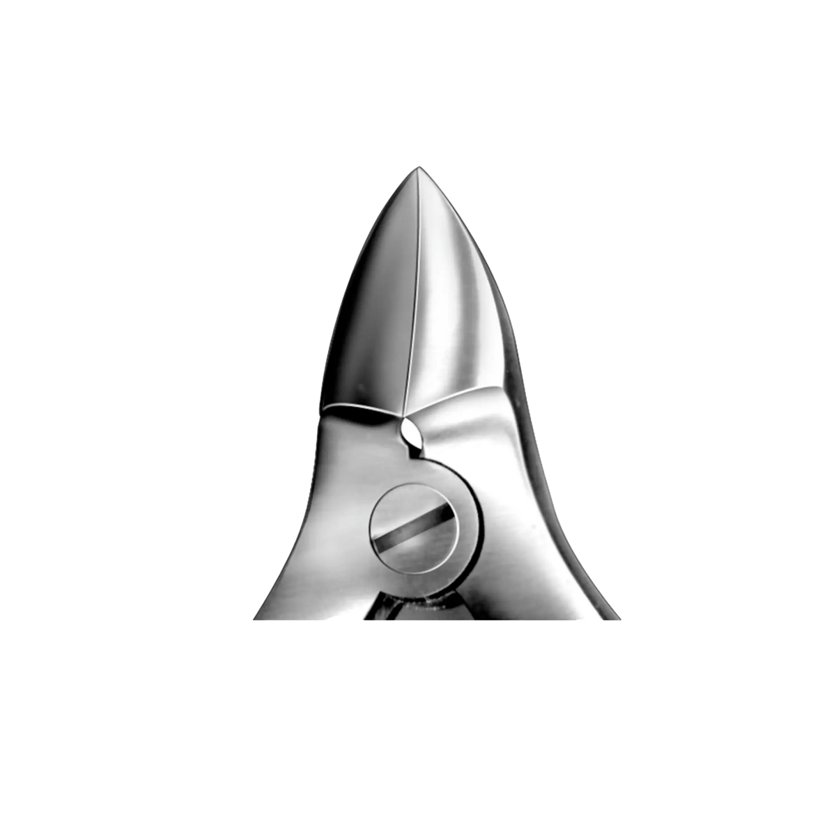 Nail pruners - Tapered jaws - 15 cm - Aesculap - MF250R Aesculap