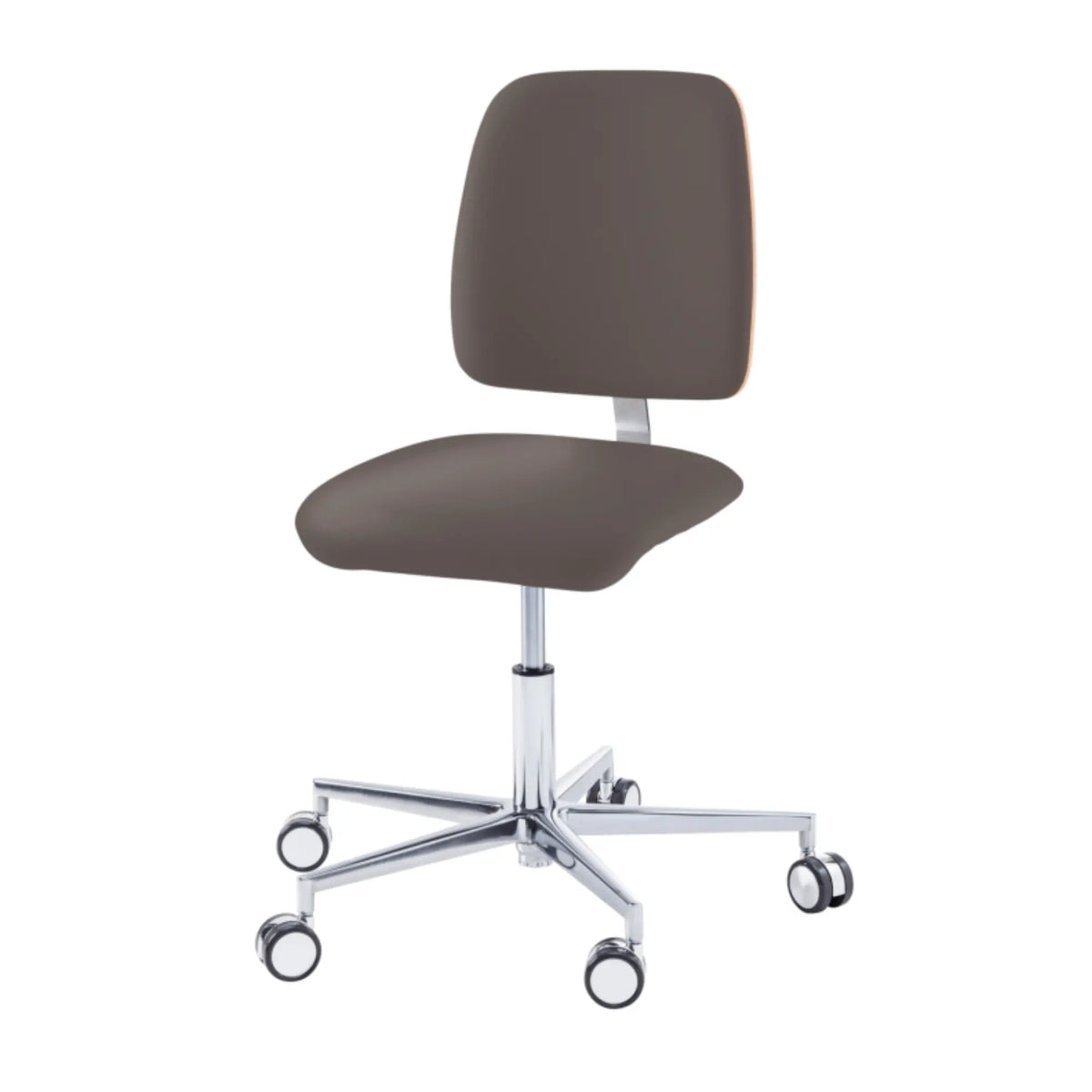 Practitioner seat - COMFORT - Ruck - Comfort My Podiatry backrest CPL-White-Nutmeg-Long