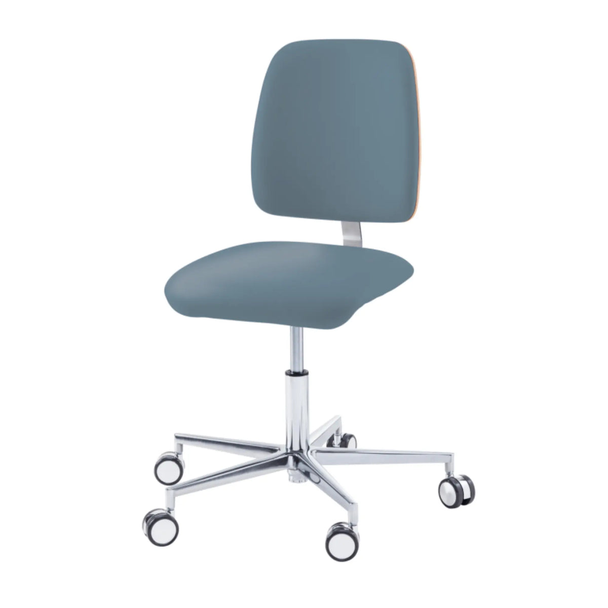 Practitioner seat - COMFORT - Ruck - Comfort My Podology backrest CPL-White-Ocean-Long