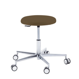 Practitioner seat - ROUND - Ruck - Gas Spring Long Ruck - Expresso-Backrest-Radius-Without material