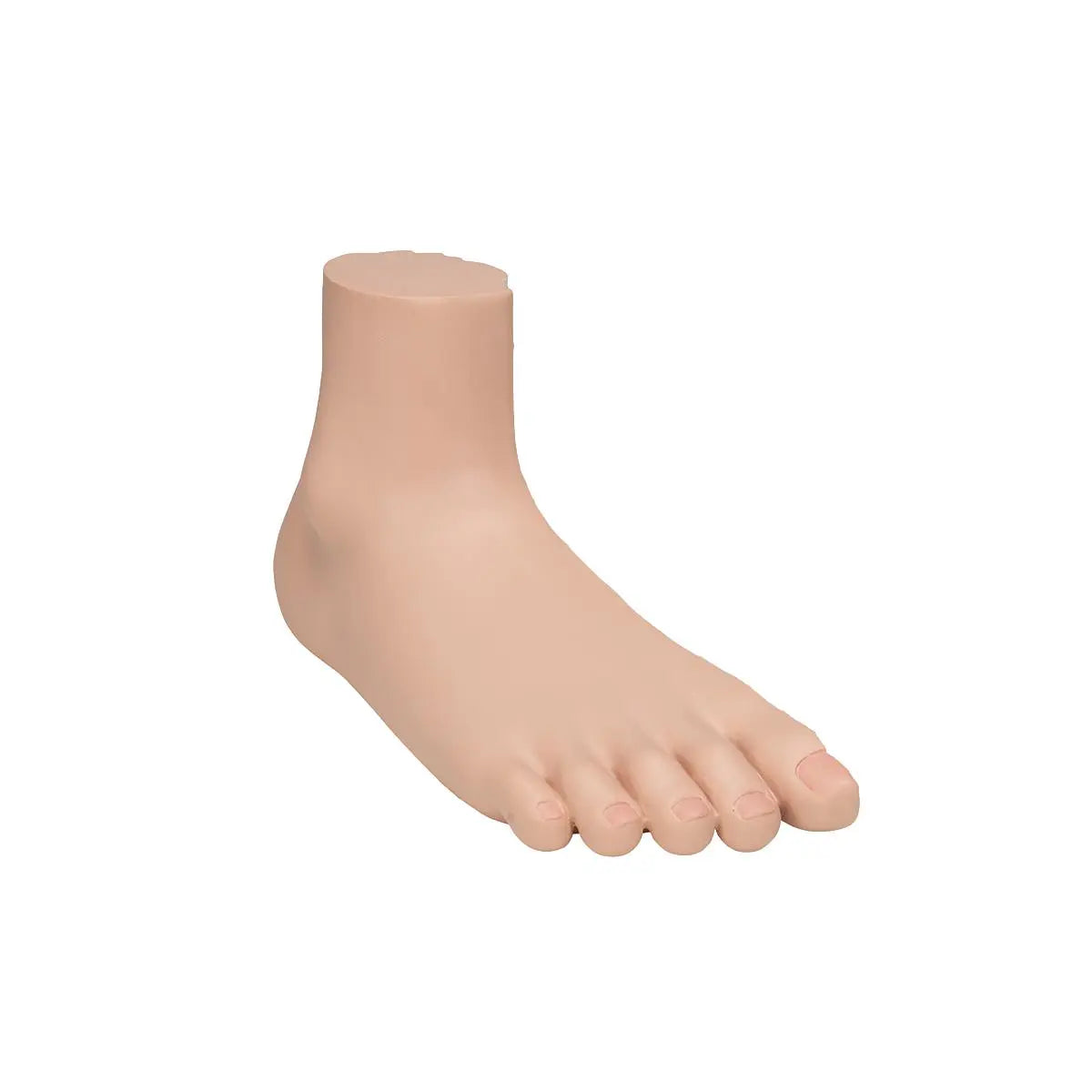 Skeleton of a flat foot (Pes Planus) - My Podiatry