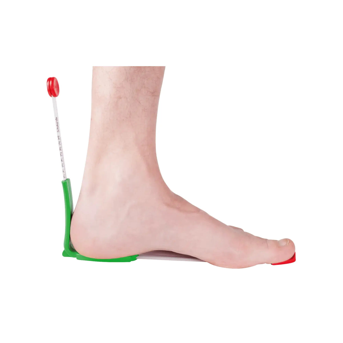 Foot and Shoe Measuring System - Ruck Ruck 
