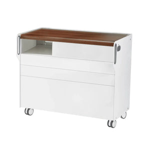 "Room Move" Podiatry Unit - Size L - Ruck Ruck Walnut-3-compartment-micromotor-left-Circle-X